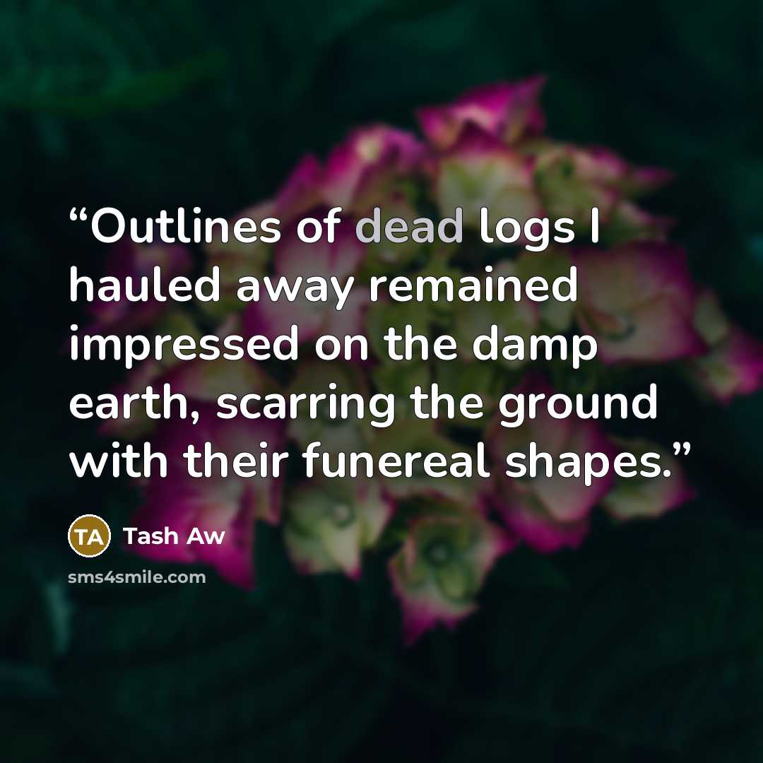 “Outlines of dead logs I hauled away remained impressed on the damp earth, scarring the ground with their funereal shapes.” quote by Tash Aw