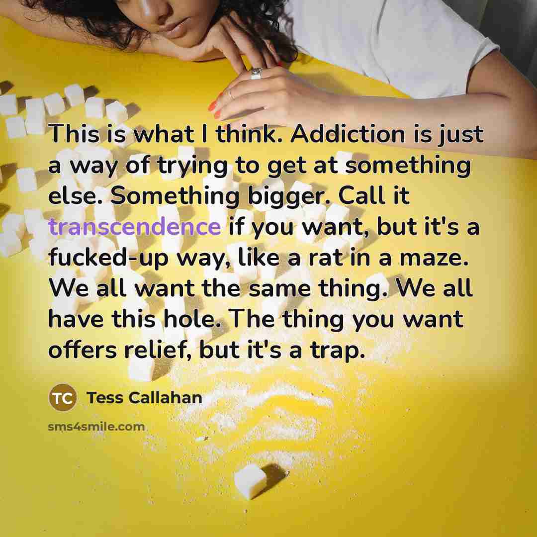 “This is what I think. Addiction is just a way of trying to get at something else. Something bigger. Call it transcendence if you want, but it's a fucked-up way, like a rat in a maze. We all want the same thing. We all have this hole. The thing you want offers relief, but it's a trap.” quote by Tess Callahan