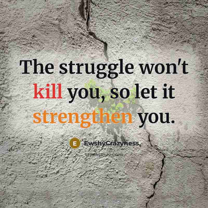 “The struggle won't kill you, so let it strengthen you.” quote by EwshyCrazyness