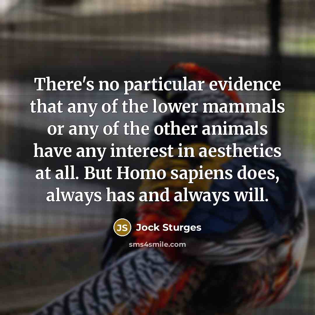 “There's no particular evidence that any of the lower mammals or any of the other animals have any interest in aesthetics at all. But Homo sapiens does, always has and always will.” quote by Jock Sturges