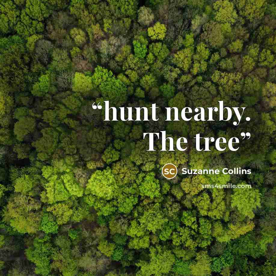 “hunt nearby. The tree” quote by Suzanne Collins