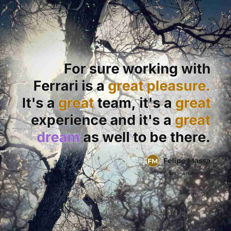 “For sure working with Ferrari is a great pleasure. It's a great team, it's a great experience and it's a great dream as well to be there.” quote by Felipe Massa