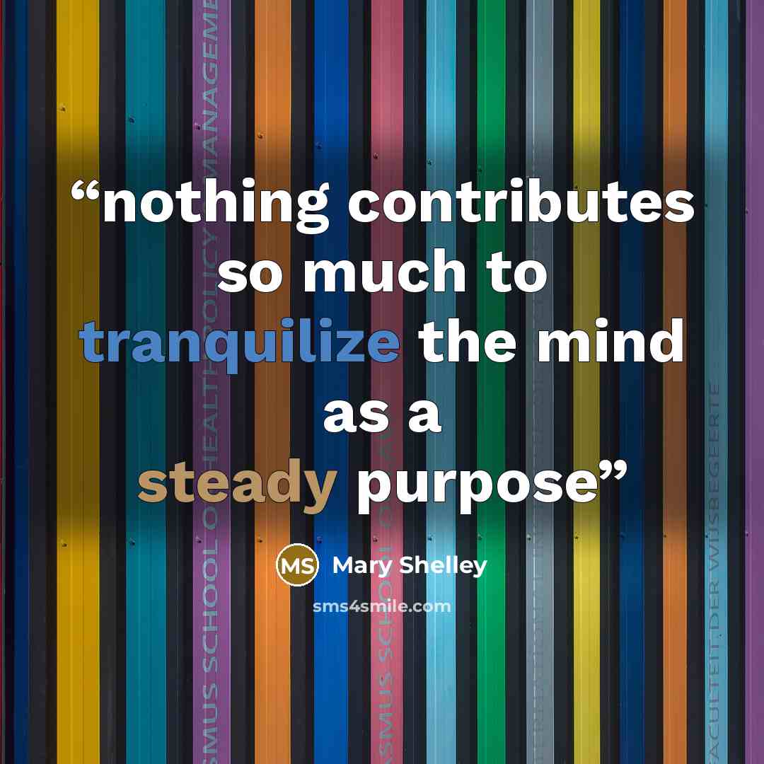 “nothing contributes so much to tranquilize the mind as a steady purpose” quote by Mary Shelley