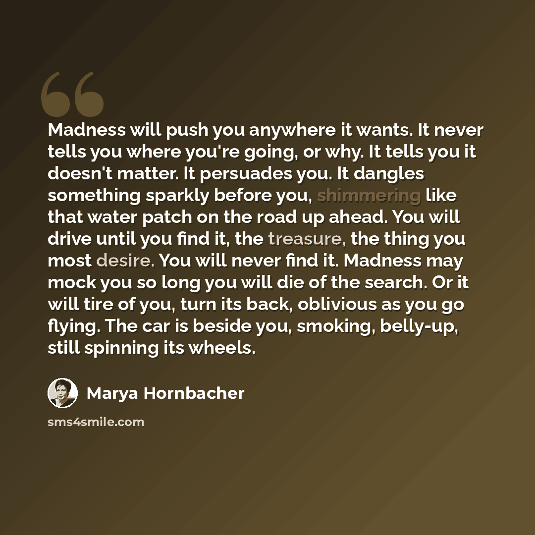“Madness will push you anywhere it wants. It never tells you where you're going, or why. It tells you it doesn't matter. It persuades you. It dangles something sparkly before you, shimmering like that water patch on the road up ahead. You will drive until you find it, the treasure, the thing you…” quote by Marya Hornbacher