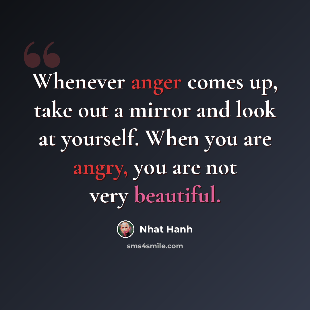 “Whenever anger comes up, take out a mirror and look at yourself. When you are angry, you are not very beautiful.” quote by Nhat Hanh