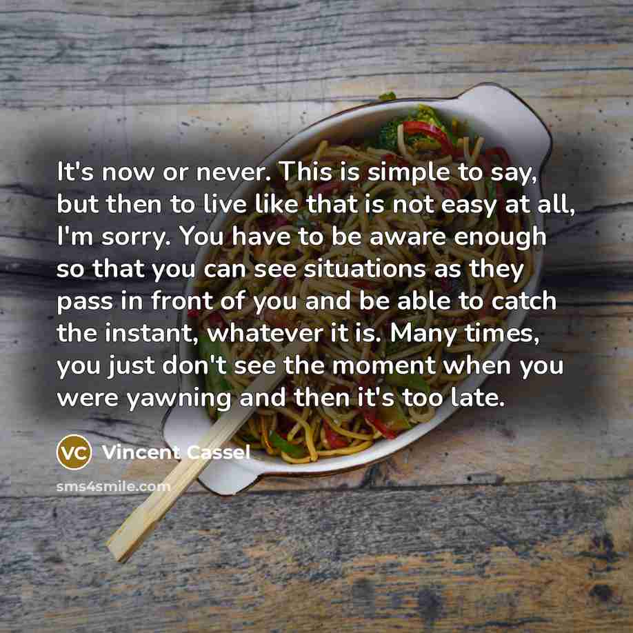 “It's now or never. This is simple to say, but then to live like that is not easy at all, I'm sorry. You have to be aware enough so that you can see situations as they pass in front of you and be able to catch the instant, whatever it is. Many times, you just don't see the moment when you were…” quote by Vincent Cassel