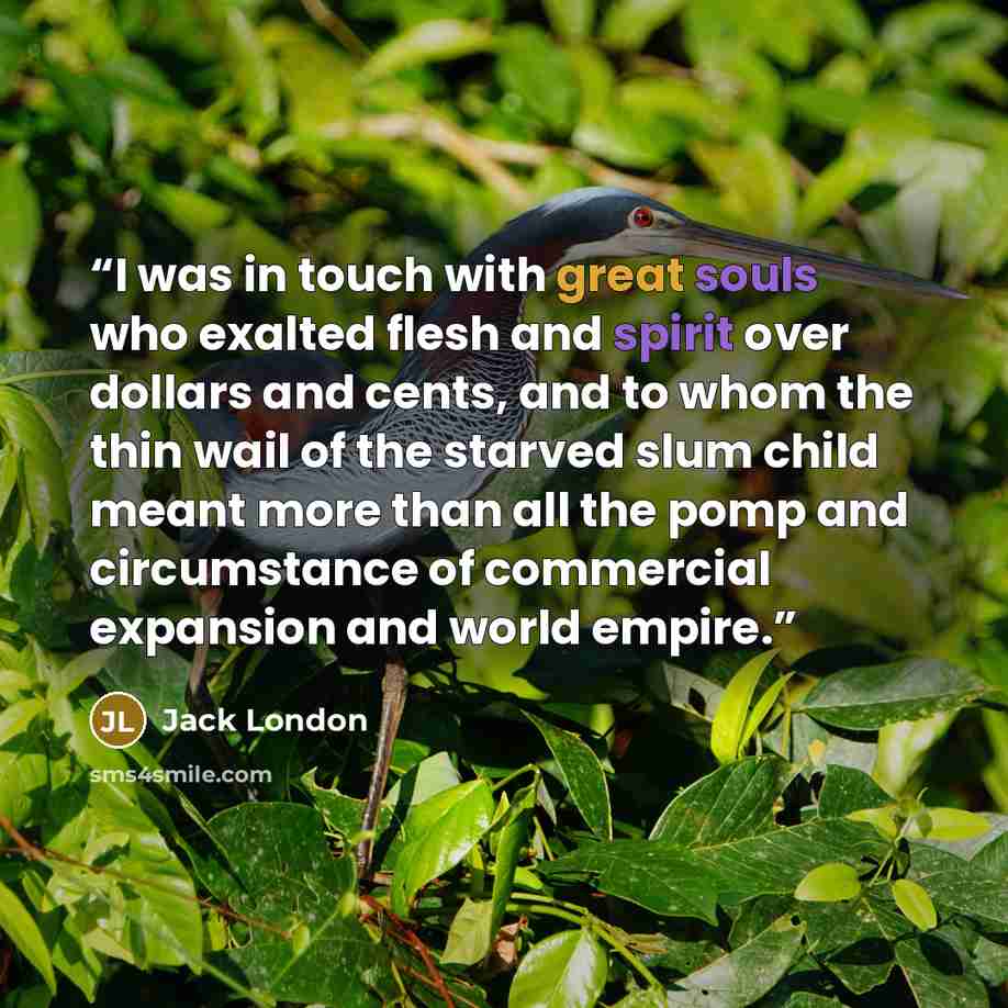 “I was in touch with great souls who exalted flesh and spirit over dollars and cents, and to whom the thin wail of the starved slum child meant more than all the pomp and circumstance of commercial expansion and world empire.” quote by Jack London