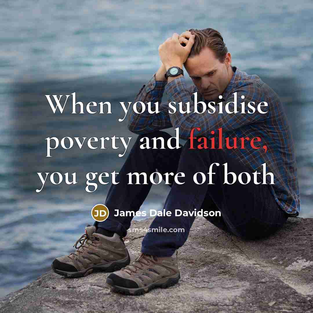“When you subsidise poverty and failure, you get more of both” quote by James Dale Davidson