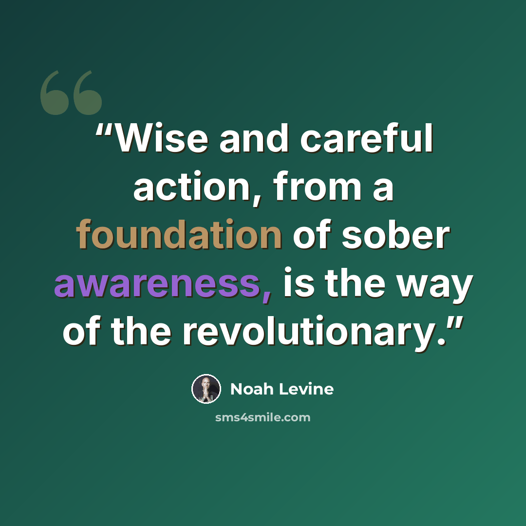 “Wise and careful action, from a foundation of sober awareness, is the way of the revolutionary.” quote by Noah Levine