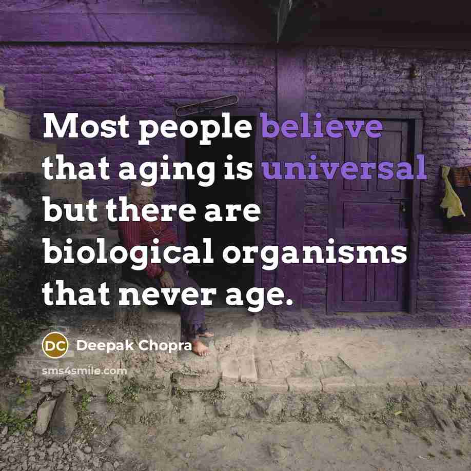 “Most people believe that aging is universal but there are biological organisms that never age.” quote by Deepak Chopra
