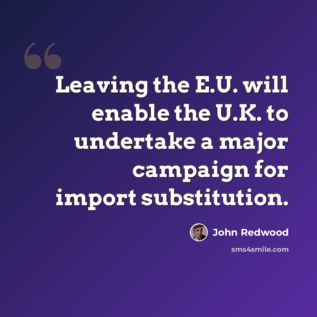 “Leaving the E.U. will enable the U.K. to undertake a major campaign for import substitution.” quote by John Redwood