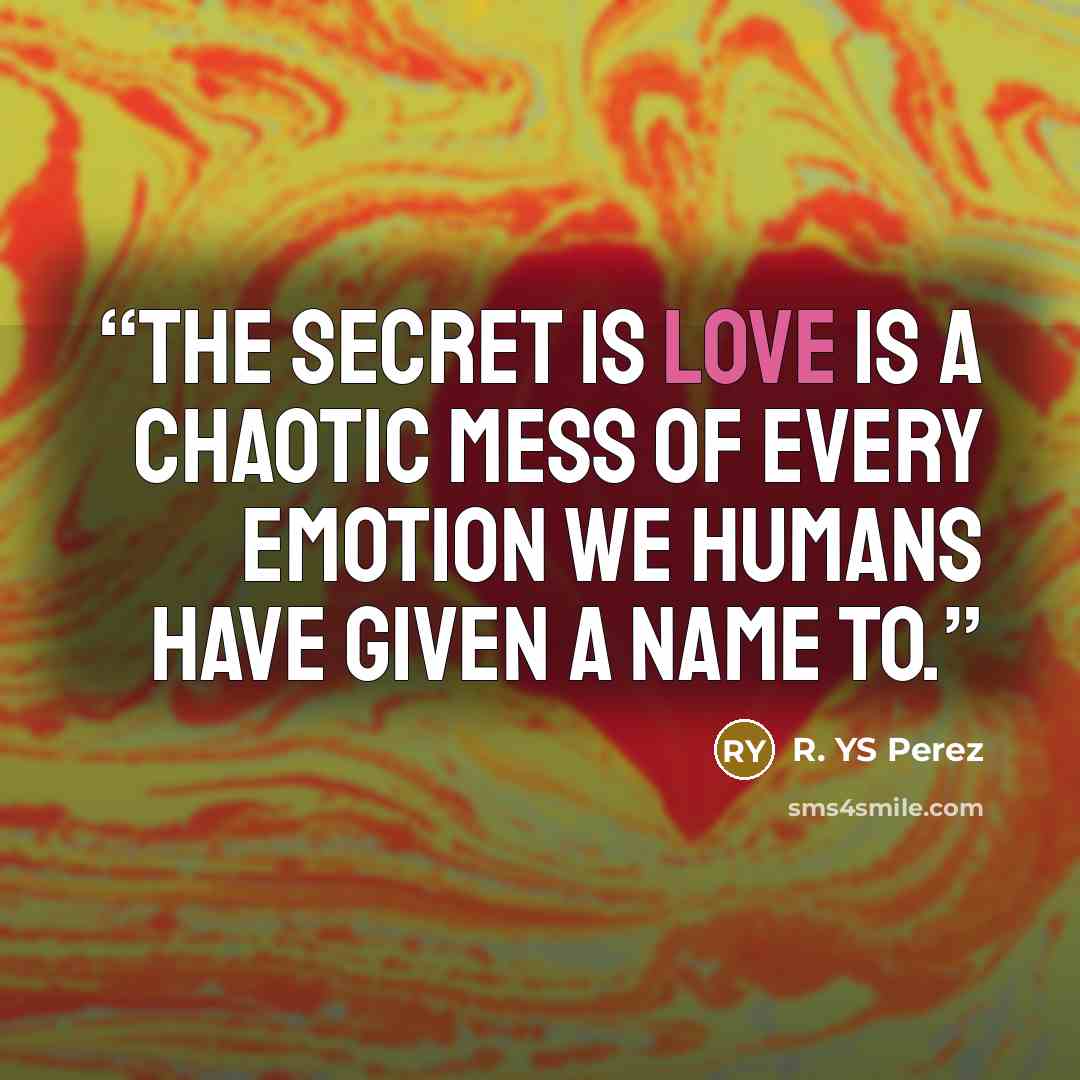 “The secret is love is a chaotic mess of every emotion we humans have given a name to.” quote by R. YS Perez