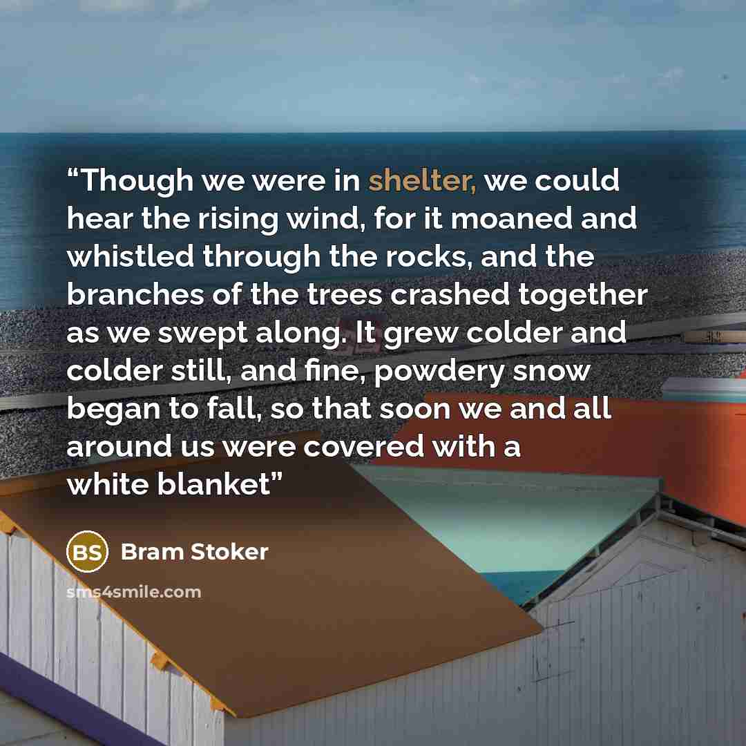 “Though we were in shelter, we could hear the rising wind, for it moaned and whistled through the rocks, and the branches of the trees crashed together as we swept along. It grew colder and colder still, and fine, powdery snow began to fall, so that soon we and all around us were covered with a…” quote by Bram Stoker
