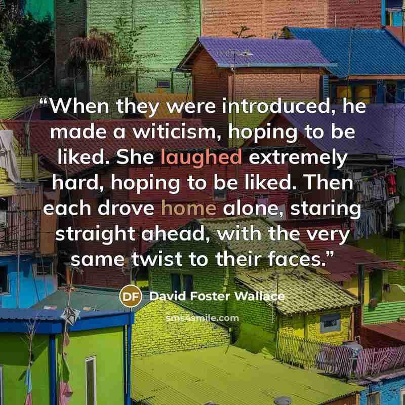 “When they were introduced, he made a witicism, hoping to be liked. She laughed extremely hard, hoping to be liked. Then each drove home alone, staring straight ahead, with the very same twist to their faces.” quote by David Foster Wallace
