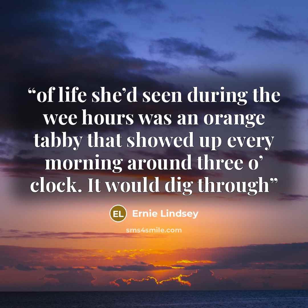 “of life she’d seen during the wee hours was an orange tabby that showed up every morning around three o’ clock. It would dig through” quote by Ernie Lindsey