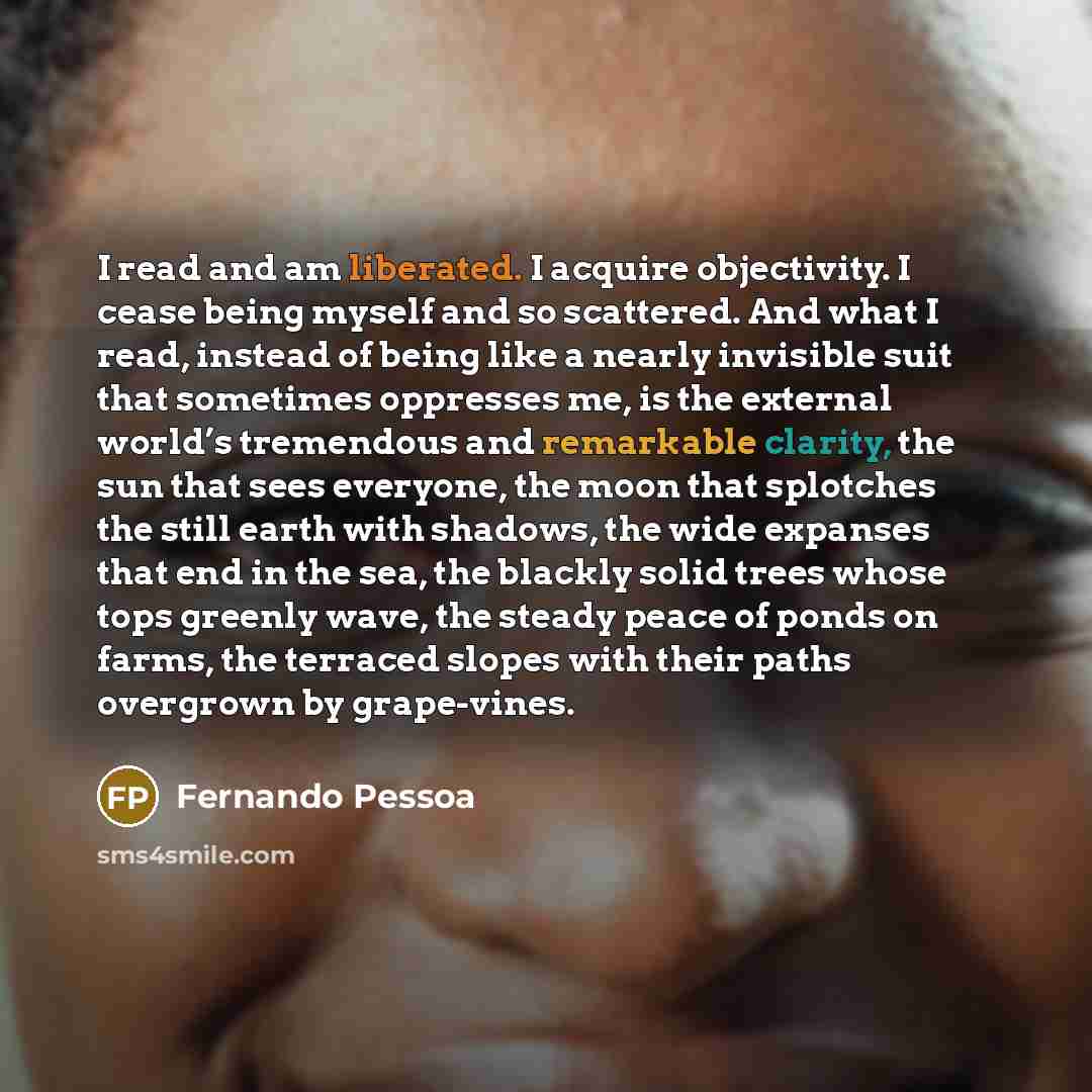 “I read and am liberated. I acquire objectivity. I cease being myself and so scattered. And what I read, instead of being like a nearly invisible suit that sometimes oppresses me, is the external world’s tremendous and remarkable clarity, the sun that sees everyone, the moon that splotches the…” quote by Fernando Pessoa