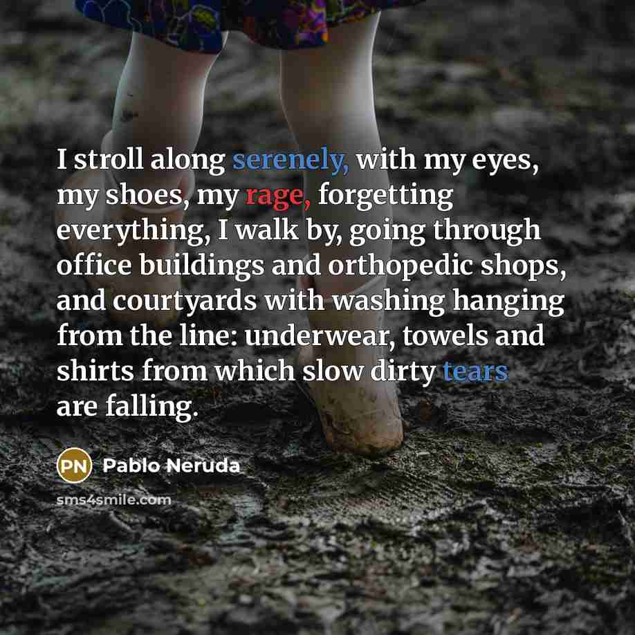 “I stroll along serenely, with my eyes, my shoes, my rage, forgetting everything, I walk by, going through office buildings and orthopedic shops, and courtyards with washing hanging from the line: underwear, towels and shirts from which slow dirty tears are falling.” quote by Pablo Neruda
