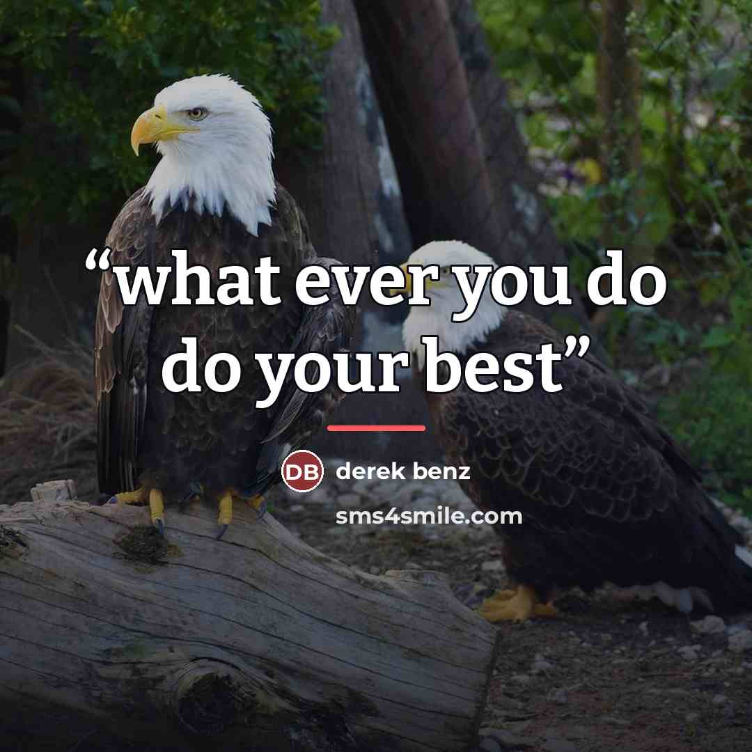 “what ever you do do your best” quote by derek benz