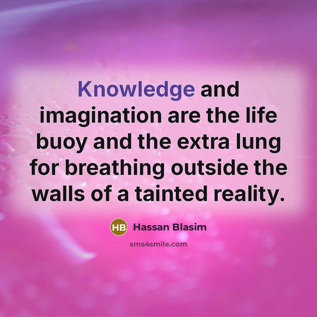 “Knowledge and imagination are the life buoy and the extra lung for breathing outside the walls of a tainted reality.” quote by Hassan Blasim