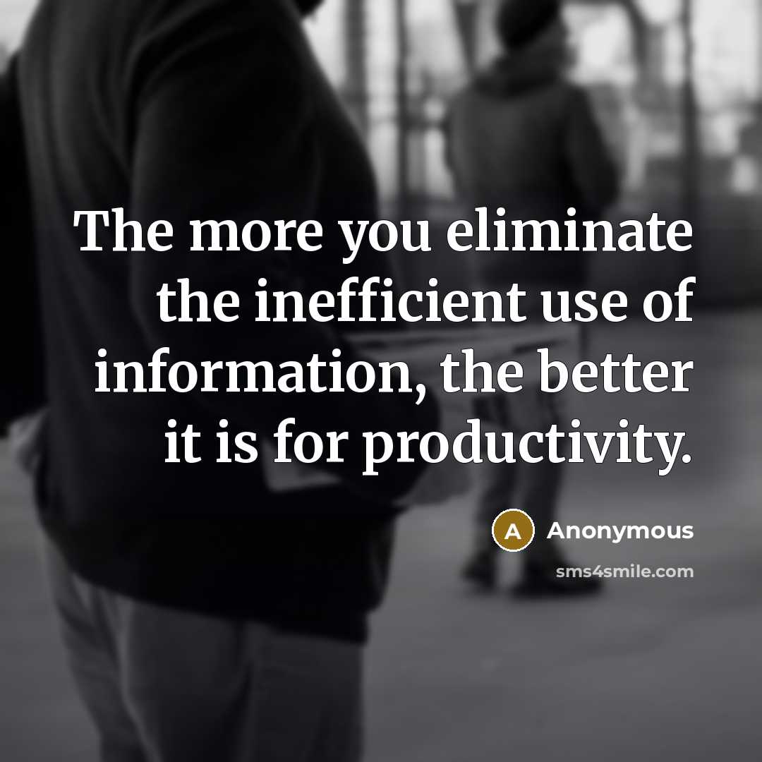 “The more you eliminate the inefficient use of information, the better it is for productivity.” quote by Anonymous