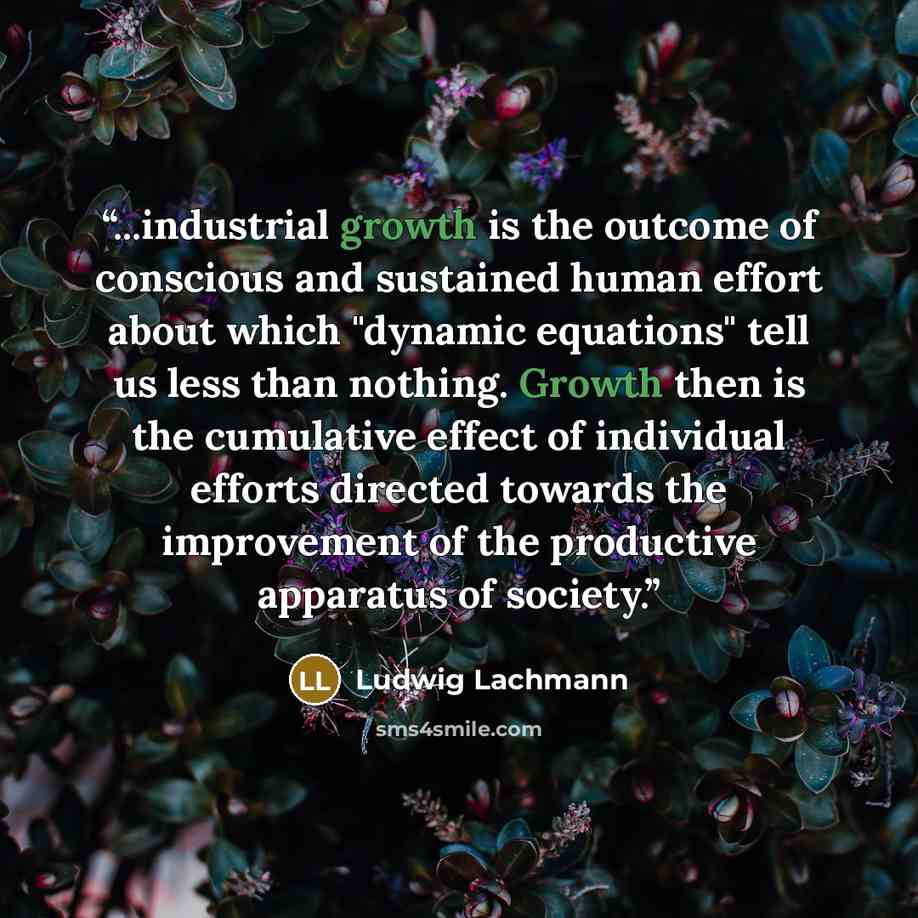 “...industrial growth is the outcome of conscious and sustained human effort about which "dynamic equations" tell us less than nothing. Growth then is the cumulative effect of individual efforts directed towards the improvement of the productive apparatus of society.” quote by Ludwig Lachmann