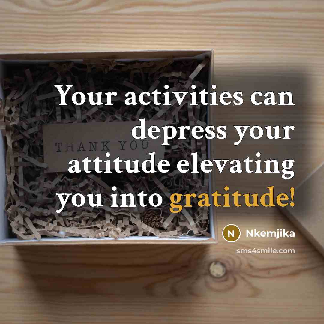 “Your activities can depress your attitude elevating you into gratitude!” quote by Nkemjika