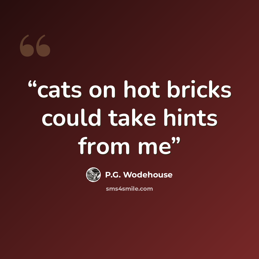 “cats on hot bricks could take hints from me” quote by P.G. Wodehouse