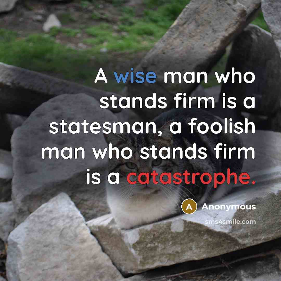 “A wise man who stands firm is a statesman, a foolish man who stands firm is a catastrophe.” quote by Anonymous