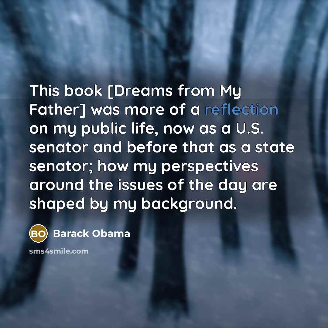 “This book [Dreams from My Father] was more of a reflection on my public life, now as a U.S. senator and before that as a state senator; how my perspectives around the issues of the day are shaped by my background.” quote by Barack Obama