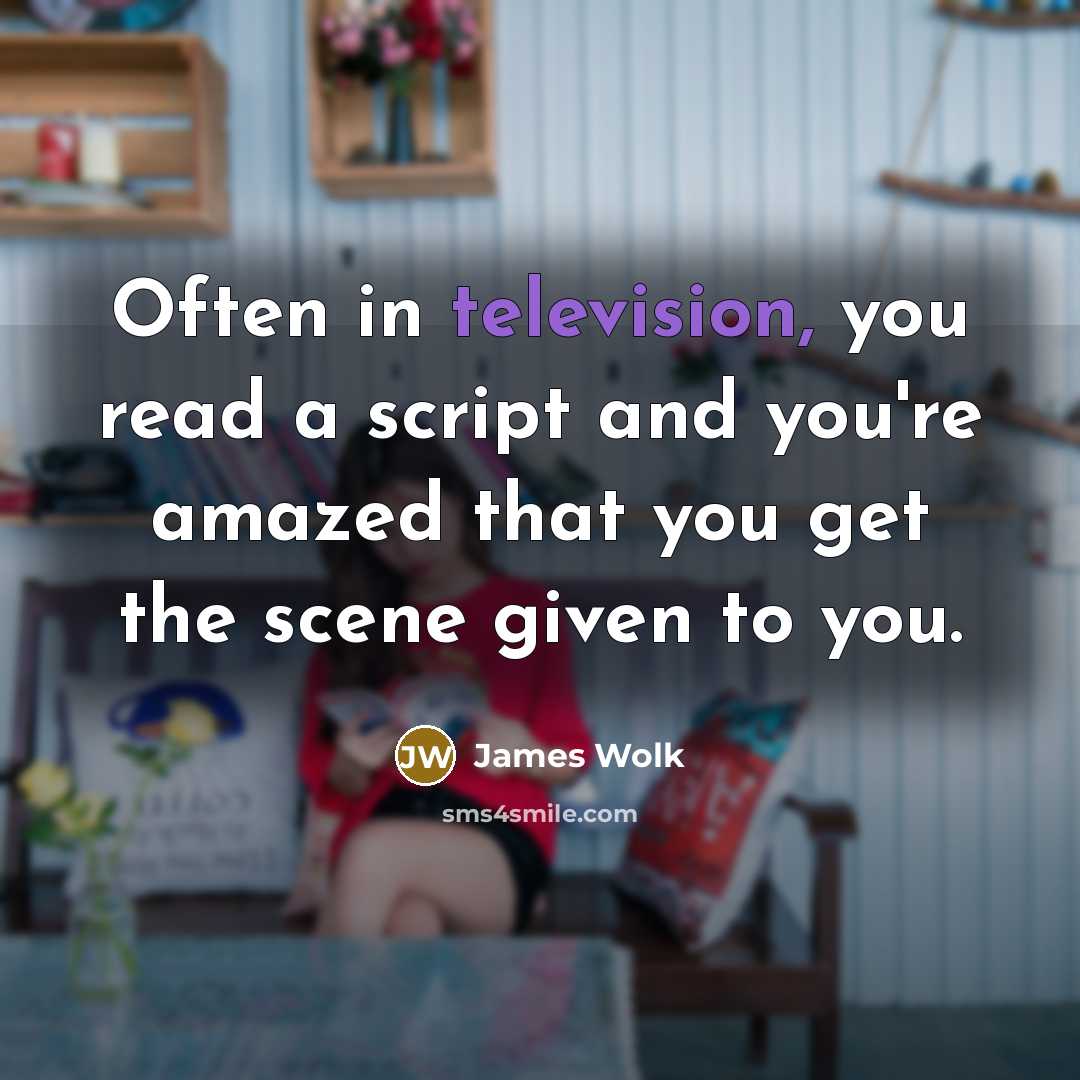 “Often in television, you read a script and you're amazed that you get the scene given to you.” quote by James Wolk