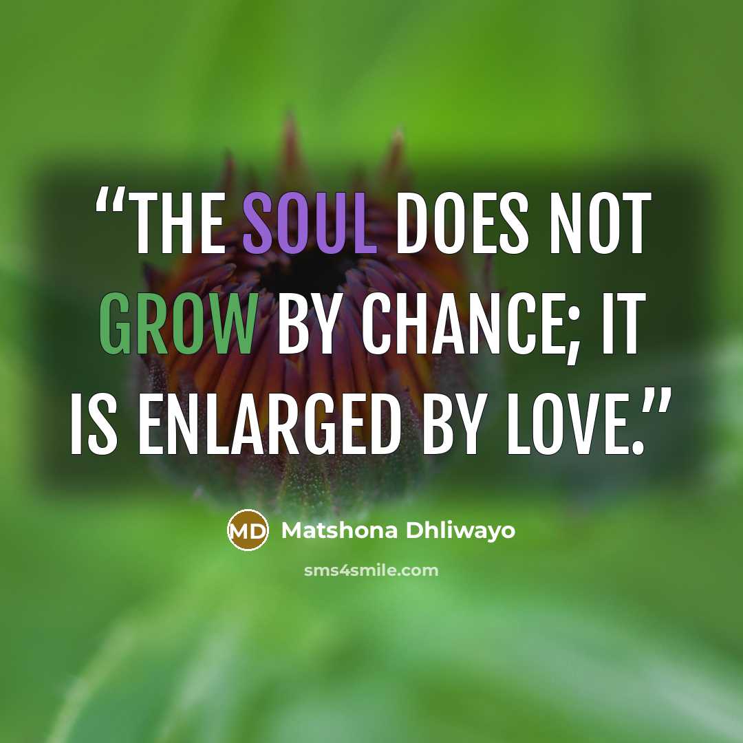 “The soul does not grow by chance; it is enlarged by love.” quote by Matshona Dhliwayo