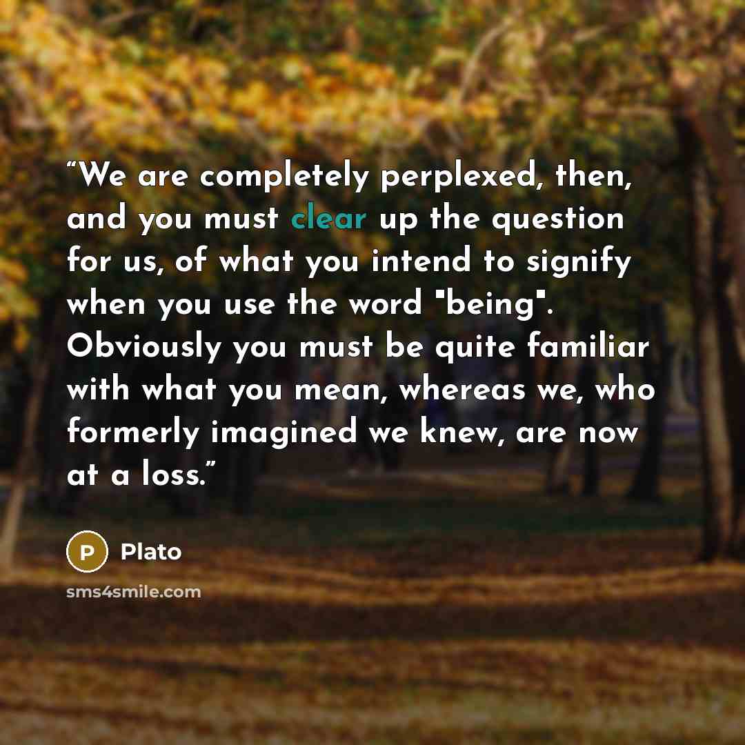 “We are completely perplexed, then, and you must clear up the question for us, of what you intend to signify when you use the word "being". Obviously you must be quite familiar with what you mean, whereas we, who formerly imagined we knew, are now at a loss.” quote by Plato