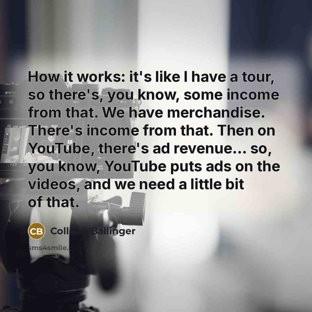 “How it works: it's like I have a tour, so there's, you know, some income from that. We have merchandise. There's income from that. Then on YouTube, there's ad revenue... so, you know, YouTube puts ads on the videos, and we need a little bit of that.” quote by Colleen Ballinger