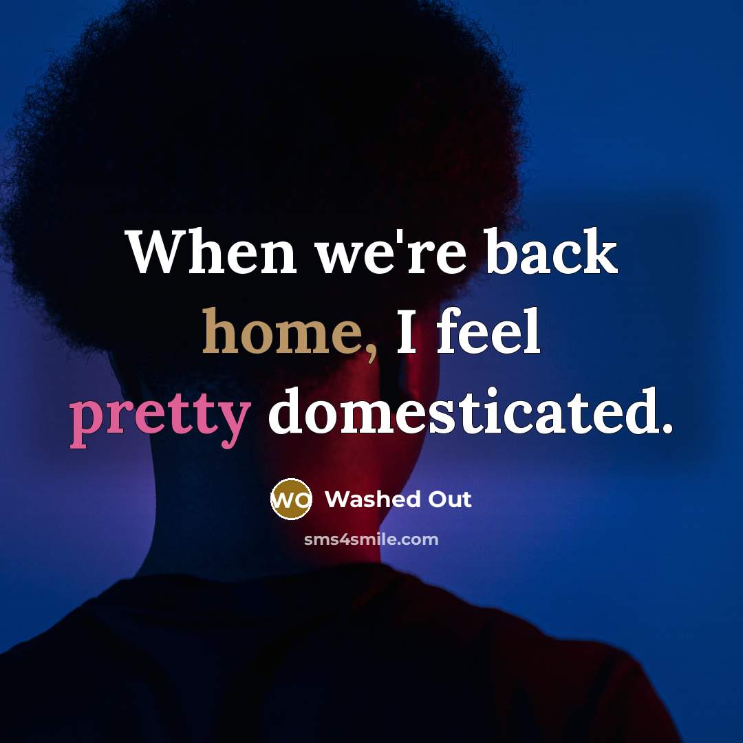 “When we're back home, I feel pretty domesticated.” quote by Washed Out