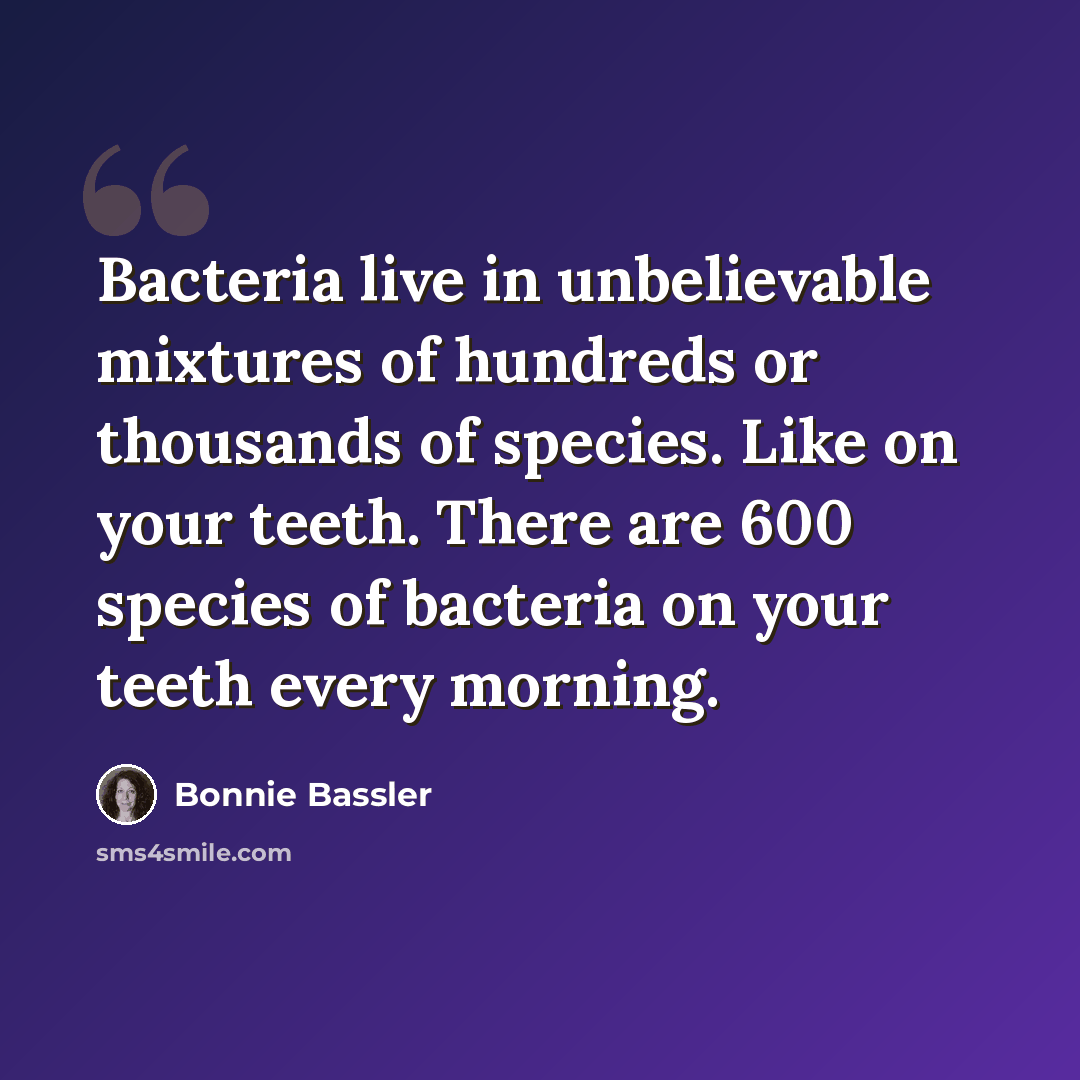“Bacteria live in unbelievable mixtures of hundreds or thousands of species. Like on your teeth. There are 600 species of bacteria on your teeth every morning.” quote by Bonnie Bassler