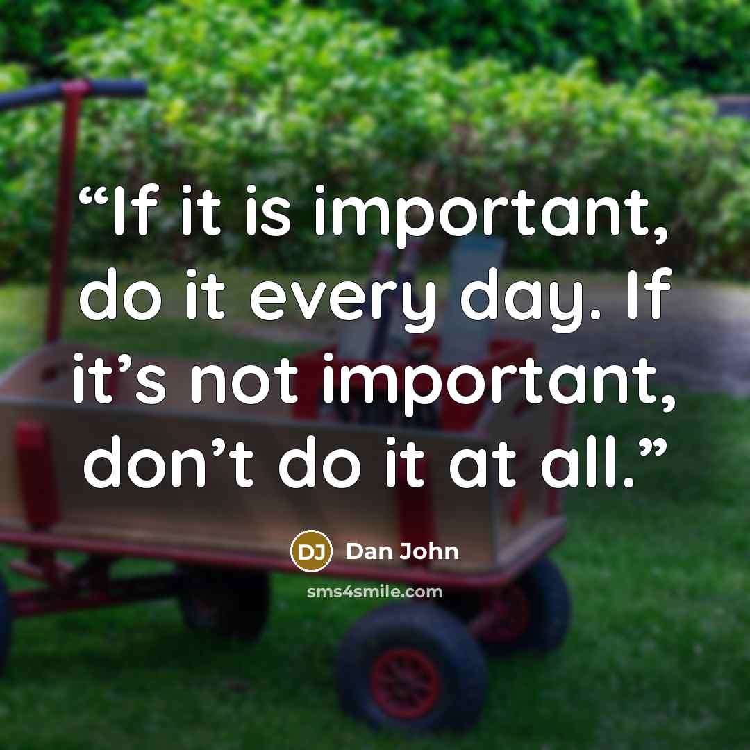 “If it is important, do it every day. If it’s not important, don’t do it at all.” quote by Dan John