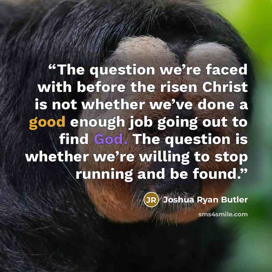 “The question we’re faced with before the risen Christ is not whether we’ve done a good enough job going out to find God. The question is whether we’re willing to stop running and be found.” quote by Joshua Ryan Butler