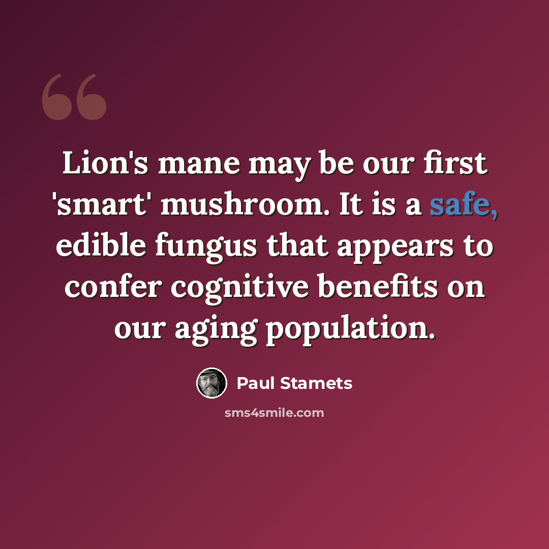 “Lion's mane may be our first 'smart' mushroom. It is a safe, edible fungus that appears to confer cognitive benefits on our aging population.” quote by Paul Stamets