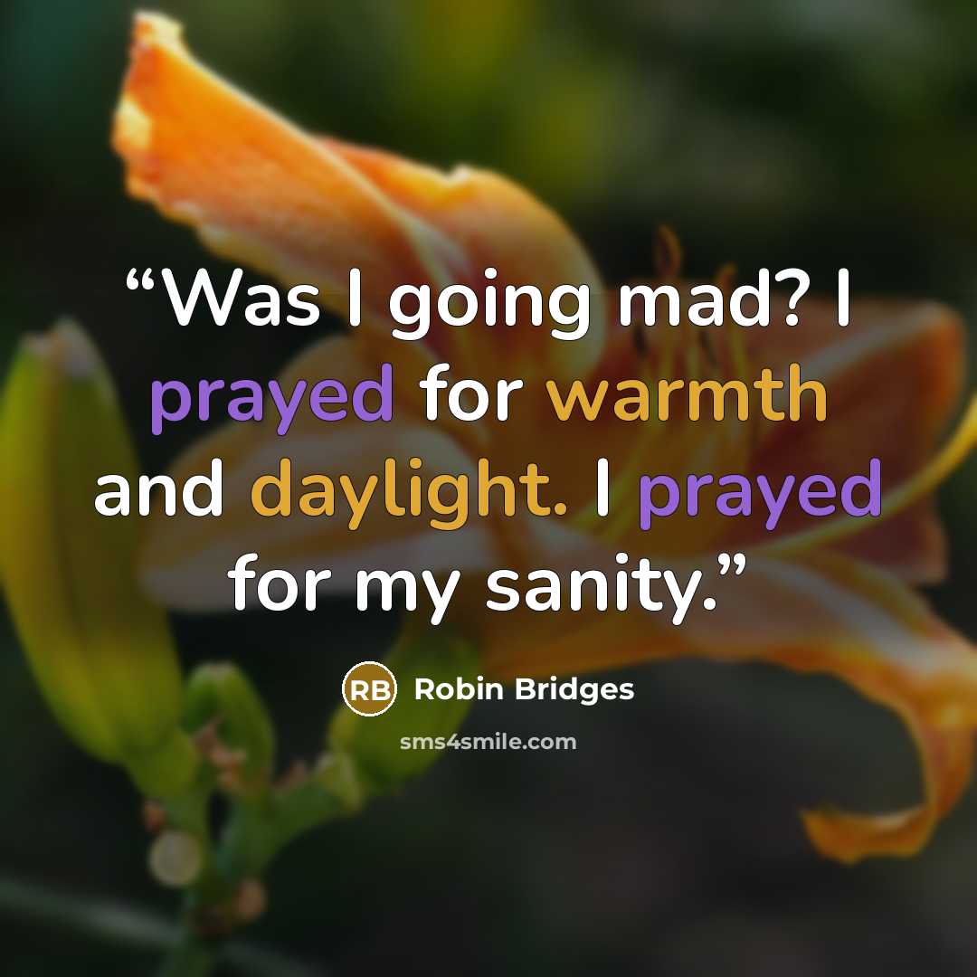 “Was I going mad? I prayed for warmth and daylight. I prayed for my sanity.” quote by Robin Bridges