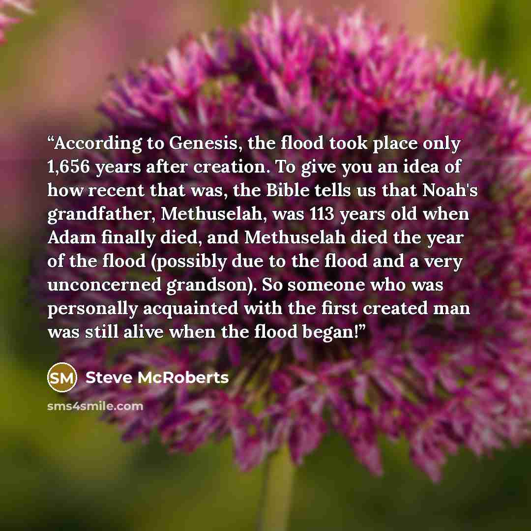 “According to Genesis, the flood took place only 1,656 years after creation. To give you an idea of how recent that was, the Bible tells us that Noah's grandfather, Methuselah, was 113 years old when Adam finally died, and Methuselah died the year of the flood (possibly due to the flood and a very…” quote by Steve McRoberts