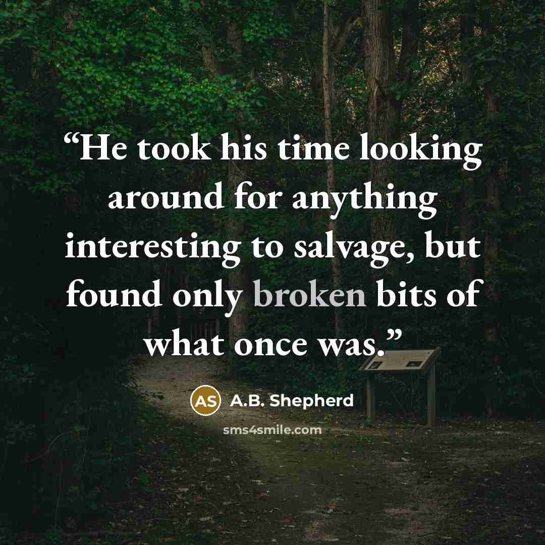 “He took his time looking around for anything interesting to salvage, but found only broken bits of what once was.” quote by A.B. Shepherd