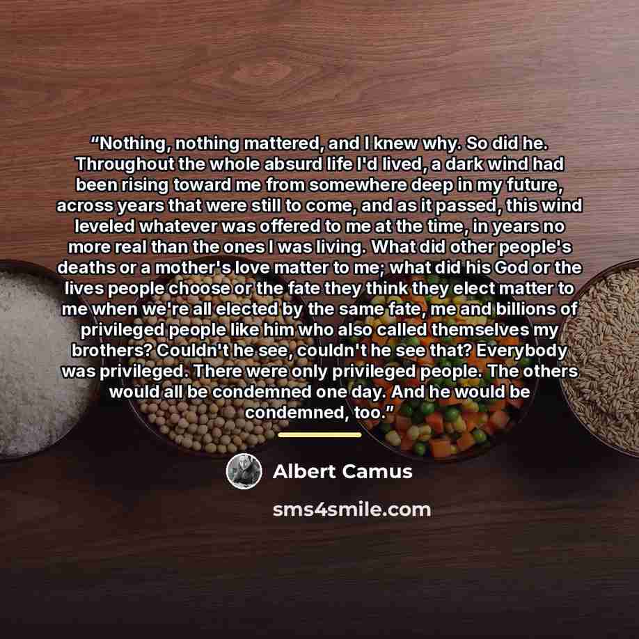 “Nothing, nothing mattered, and I knew why. So did he. Throughout the whole absurd life I'd lived, a dark wind had been rising toward me from somewhere deep in my future, across years that were still to come, and as it passed, this wind leveled whatever was offered to me at the time, in years no…” quote by Albert Camus