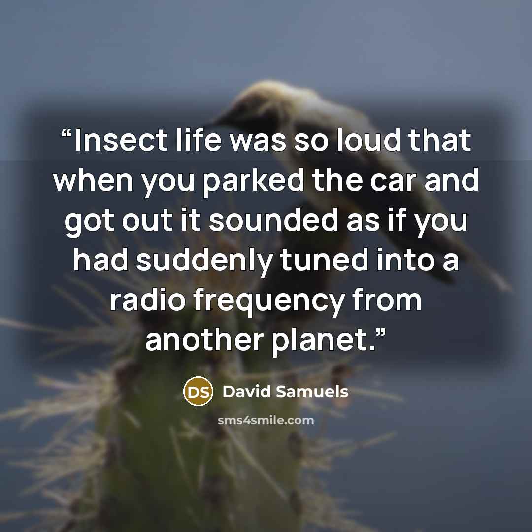 “Insect life was so loud that when you parked the car and got out it sounded as if you had suddenly tuned into a radio frequency from another planet.” quote by David Samuels