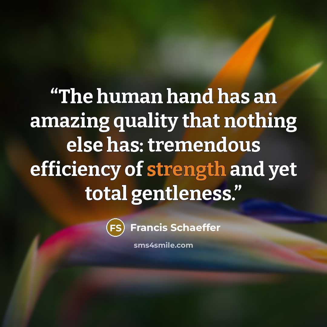 “The human hand has an amazing quality that nothing else has: tremendous efficiency of strength and yet total gentleness.” quote by francis schaeffer