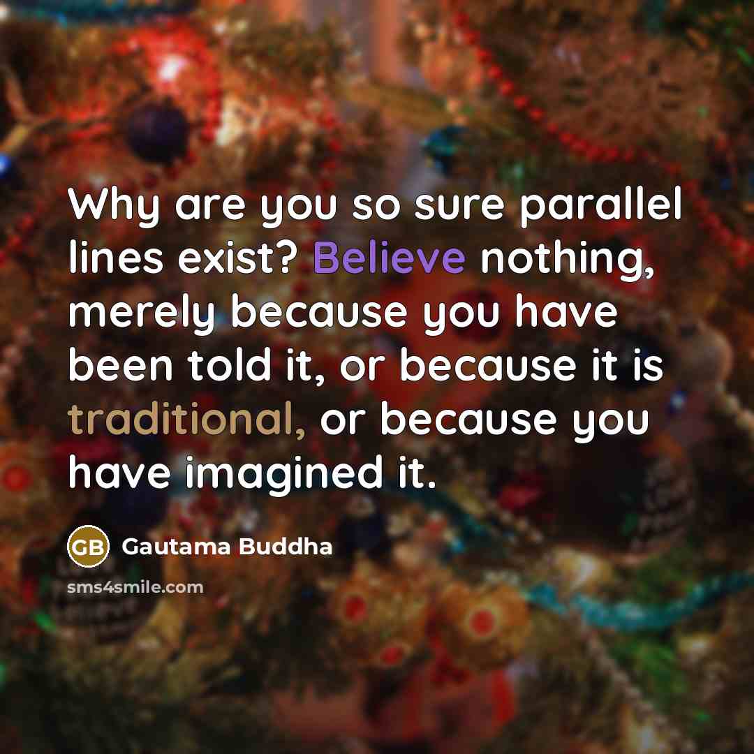 “Why are you so sure parallel lines exist? Believe nothing, merely because you have been told it, or because it is traditional, or because you have imagined it.” quote by Gautama Buddha