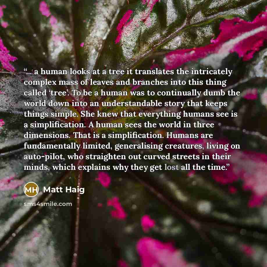 “... a human looks at a tree it translates the intricately complex mass of leaves and branches into this thing called ‘tree’. To be a human was to continually dumb the world down into an understandable story that keeps things simple. She knew that everything humans see is a simplification. A human…” quote by Matt Haig