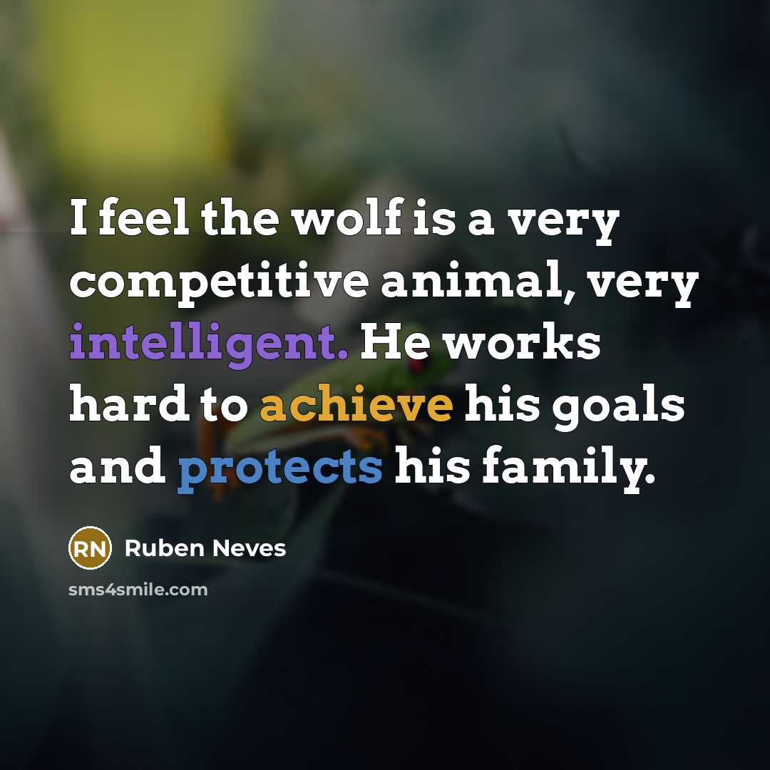 “I feel the wolf is a very competitive animal, very intelligent. He works hard to achieve his goals and protects his family.” quote by Ruben Neves