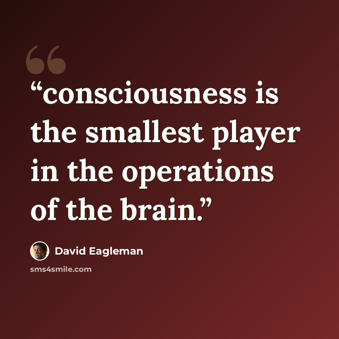 “consciousness is the smallest player in the operations of the brain.” quote by David Eagleman