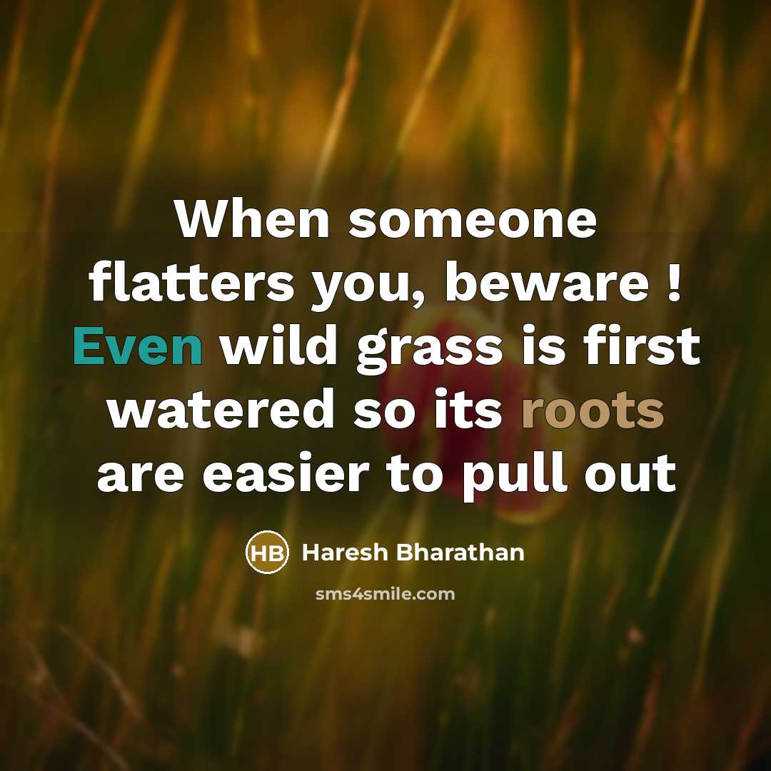 “When someone flatters you, beware ! Even wild grass is first watered so its roots are easier to pull out” quote by Haresh Bharathan