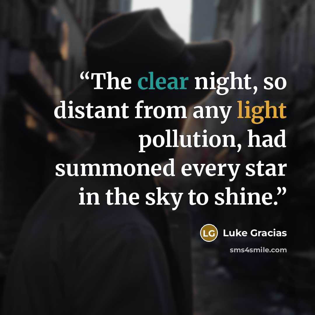 “The clear night, so distant from any light pollution, had summoned every star in the sky to shine.” quote by Luke Gracias